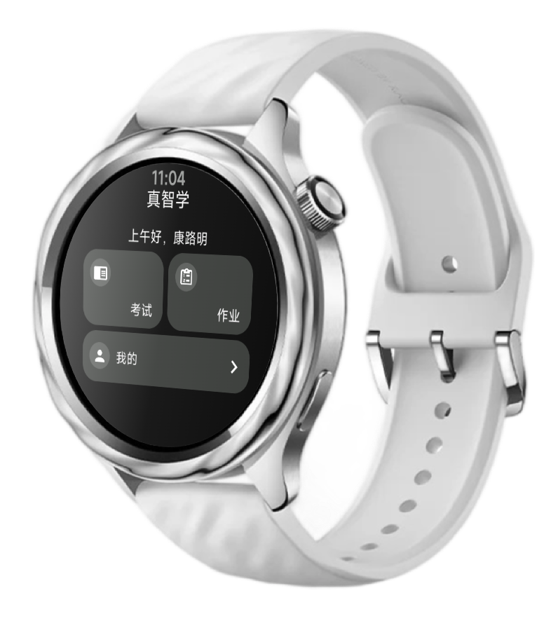 Xiaomi Watch S4 上的真智学演示界面